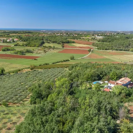 Giselle - Oasis Among Olive Trees Vižinada