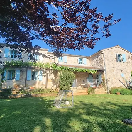Giselle - Oasis Among Olive Trees Villa