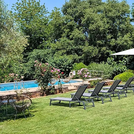 Giselle - Oasis Among Olive Trees Villa *