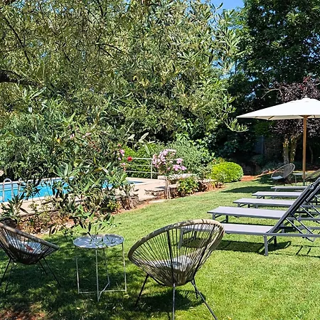 Giselle - Oasis Among Olive Trees Villa Vižinada