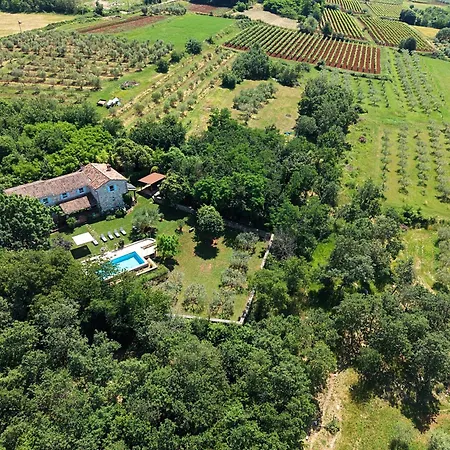 Giselle - Oasis Among Olive Trees Villa *